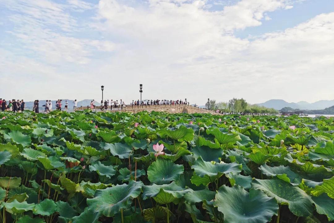 2021安徽万业企业管理有限公司杭州团建旅行西湖